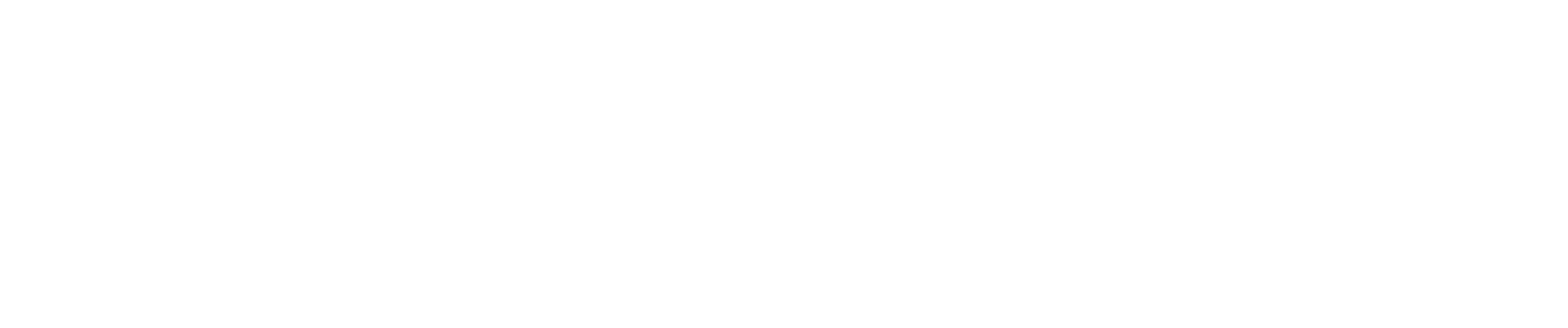 authentic-intelligence